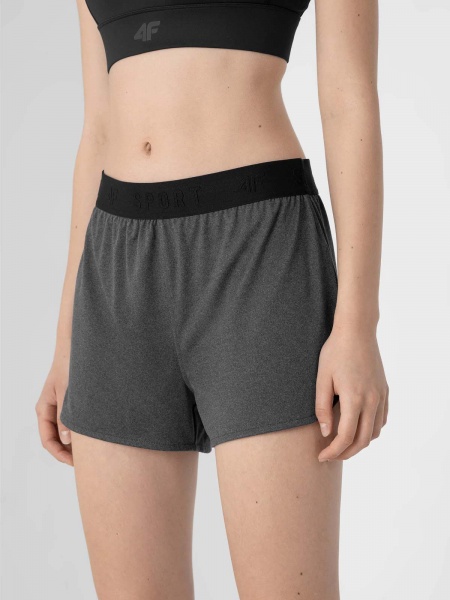 Шорти 4F D4Z21-SKDF304-21M р. XL сірий