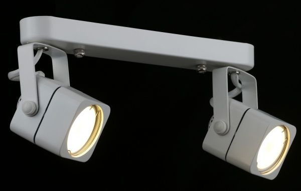 Спот Arte Lamp A1314PL-2WH 2x50 Вт GU10 білий 1314 