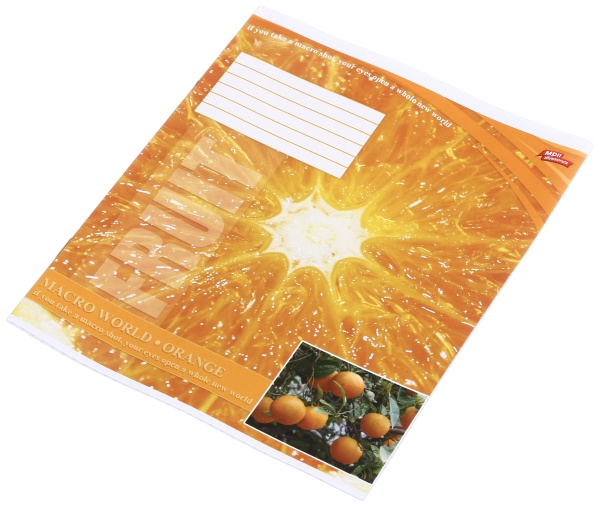 Тетрадь школьная 18 листов в клеточку в ассортименте Мечты сбываются