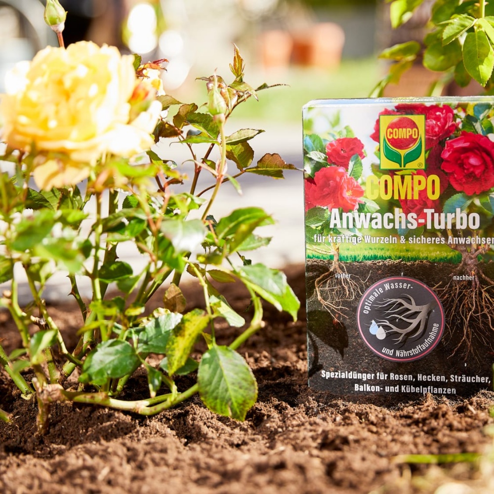 Удобрение гранулированное Compo TURBO® для активации корневой системы 700 г
