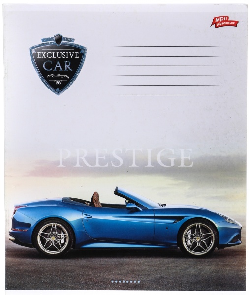 Тетрадь школьная с глитером 48 листов в клеточку в ассортименте Мечты сбываются