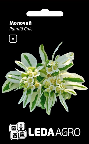 Семена LedaAgro молочай Ранний Снег 0,2 г (4820119797365)
