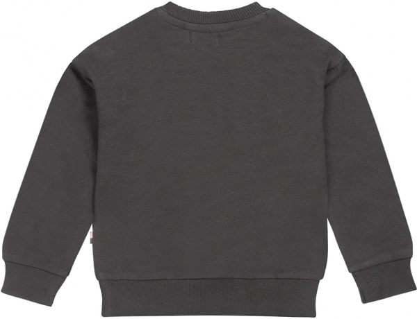 Свитшот для девочки Dirkje р.80 темно-серый U44477-35 