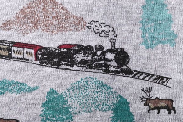 Піжама для хлопчиків Фламінго р.140 сірий 000-010 