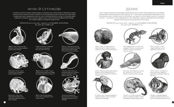 Книга Рейчел Уильямс «Приховані дива + чарівні лінзи» 978-617-7563-06-7