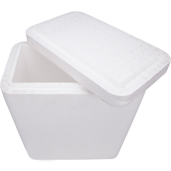 Контейнер ізотермічний Thermo Easy Cool 25 л з набором акумуляторів IcePack