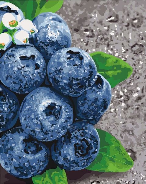 Картина за номерами Соковиті плоди Ідейка 