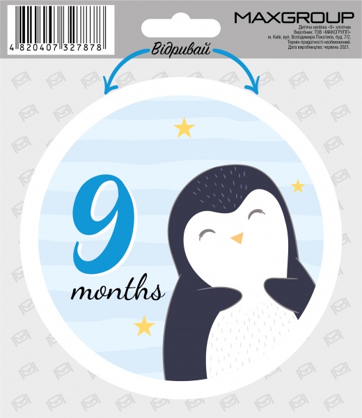 Наклейка MAXGROUP для мальчика 9 месяцев NM-079