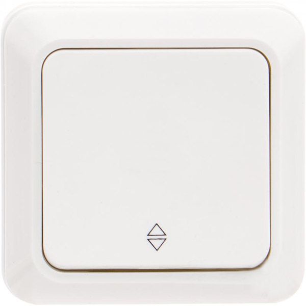 Выключатель проходной одноклавишный UP! (Underprice) IP20 без подсветки 10 А 220-250В белый BD-SWP.MZ20G1W2-WH