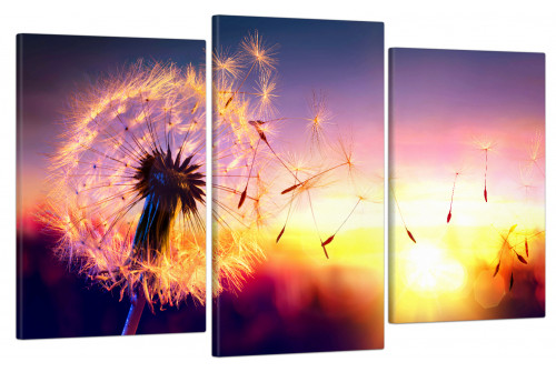 Картина модульная Картина модульна 3 частини Кульбаба на заході сонця МК 30206 100x53 см ЕО233 