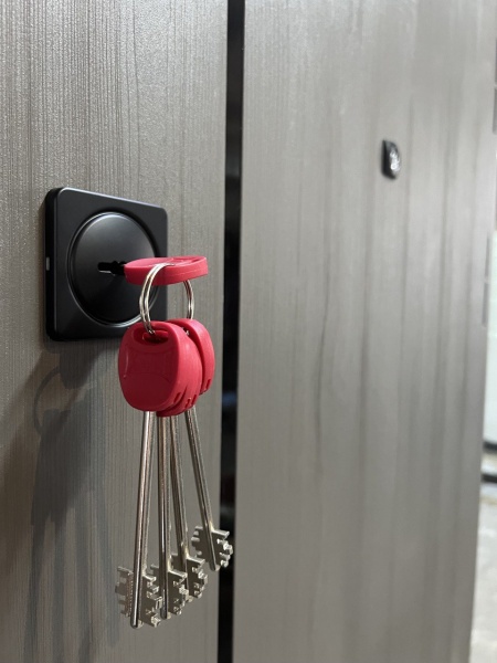 Двері вхідні Мавіс Н-20 клен темно-сірий / клен явір 2050х880 мм ліві