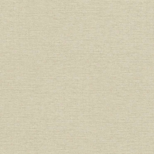 Шпалери вінілові на флізеліновій основі RASCH Jolly 970630 1,06x10,05 м 