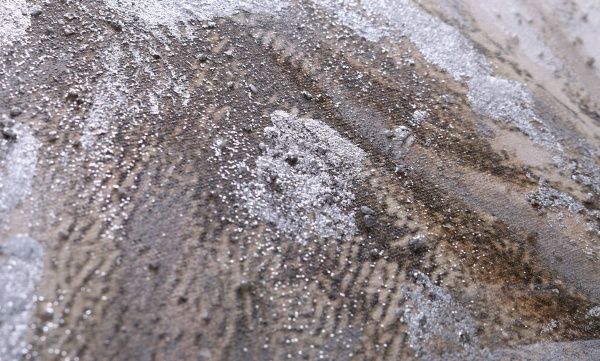 Картина Lion 90x120 см GF 