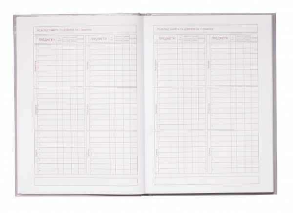 Щоденник шкільний Love В5 48 арк. ZB.13813 ZiBi