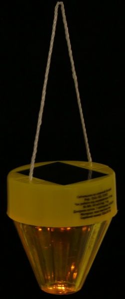 Светильник на солнечной батарее Expert ELGs-SGL-S5082 0,06 Вт в ассортименте 