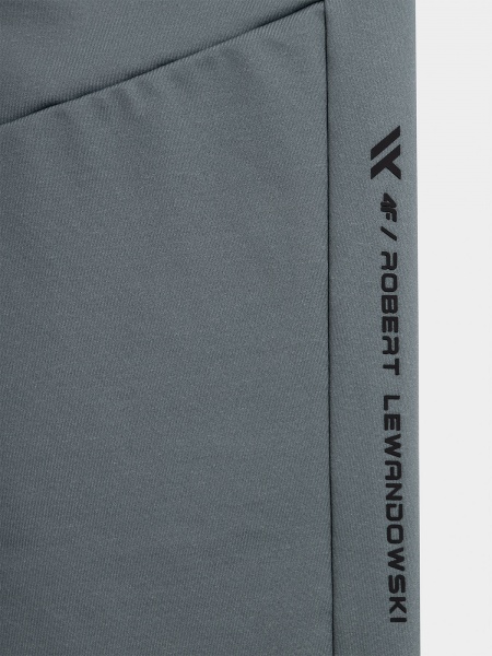 Брюки 4F TROUSERS FNK RL9AW22TFTRM156-27S р. XL серый