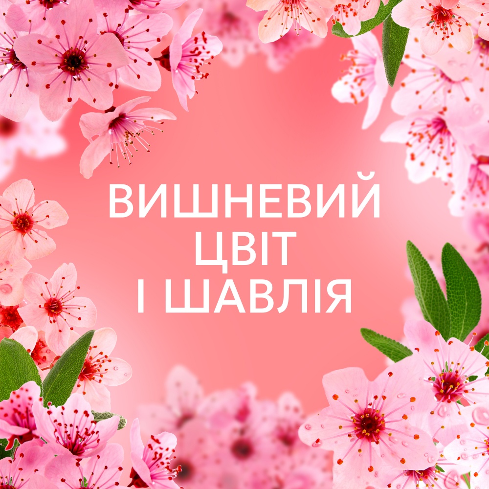 Кондиционер для белья Lenor Вишневый цвет и шалфей 1,239 л