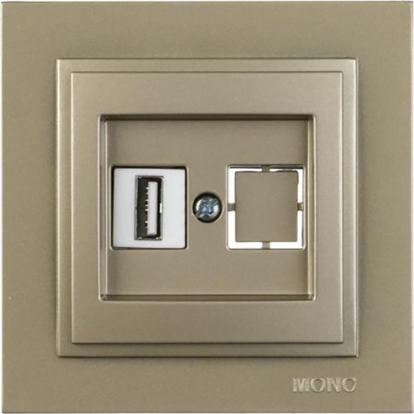 Розетка USB Mono Despina титановый 102-222205-144
