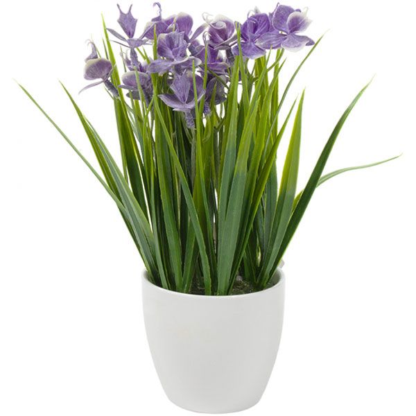 Растение искусственное Петушки в керамическом горшке 8х22 см