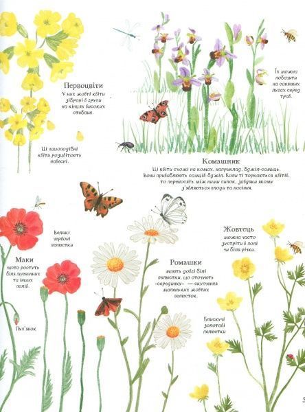 Книга Минна Лейси «Велика ілюстрована книга про природу» 978-617-7579-24-2