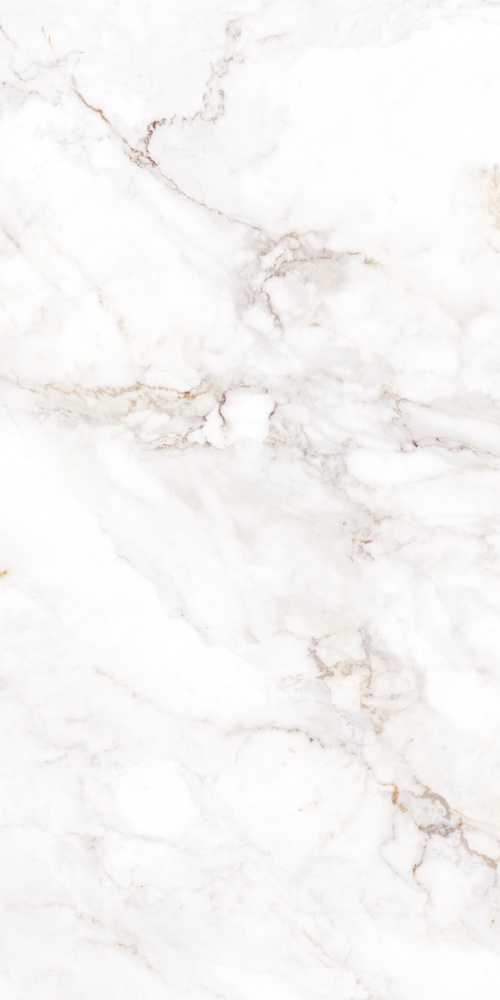 Плитка Allore Group Palazzo White F P R Satin 60x120 см