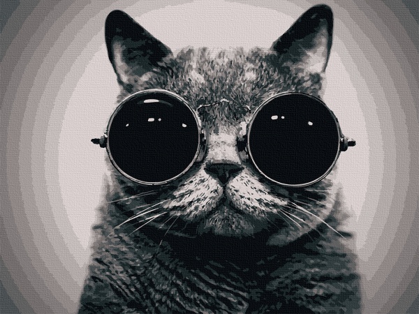 Картина за номерами Кіт Морфеус 11607-AC 40х50 см ArtCraft 