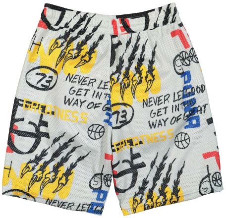 Шорти Puma Mesh Practice Short AOP 53413706 р. S чорний