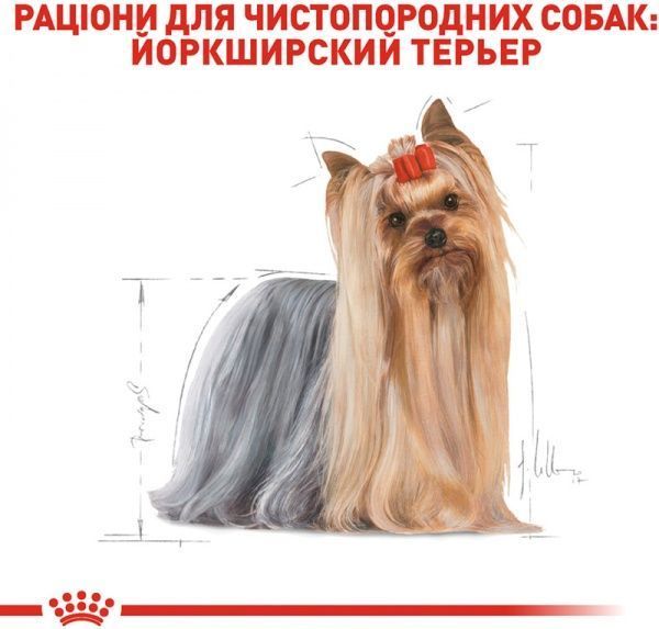 Корм Royal Canin для собак YORKSHIRE TERRIER ADULT 0,5 кг