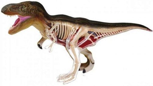 Объемная анатомическая модель 4D Master Тираннозавр 26092