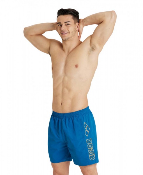 Шорти Arena BERRYN 43602-730 р. XL різнокольоровий