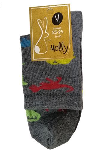 Носки женские Молли Динозавры р. 23-35 серый 1 пар 