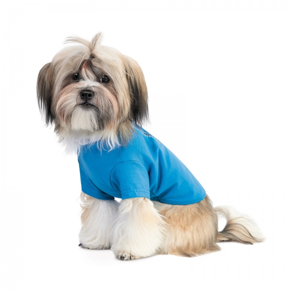 Футболка Pet Fashion Ivanko р. M голубая