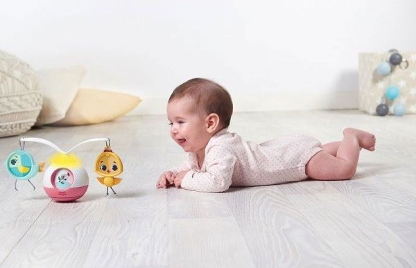 Развивающая игра Tiny Love Little World Princess 1306206830