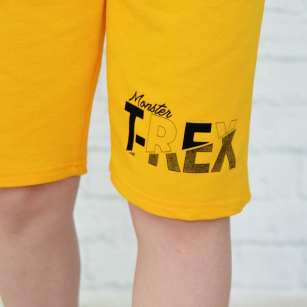 Костюм для хлопчиків Blanka Рекс р.128 жовтий 12952 