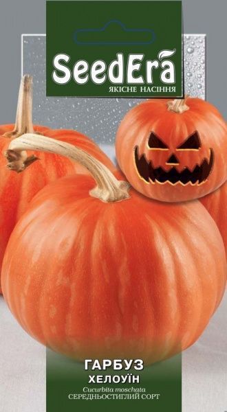 Семена Seedera тыква хеллоуин 2г
