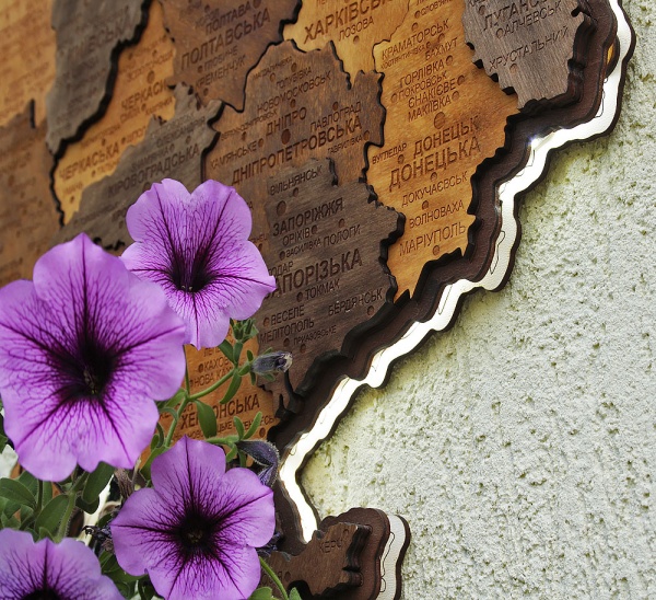 Панно декоративное Карта Украины 3D с подсветкой (220В) 38,5x55 см коричневый 