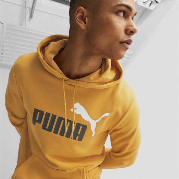 Джемпер Puma ESS+ 2 COL BIG LOGO HOODIE TR DESERT CLA 58676530 р.M помаранчевий