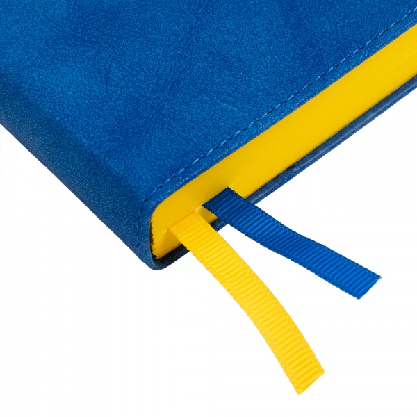 Щоденник датований Case синій 352 стор. Leo Planner Case A6 2024