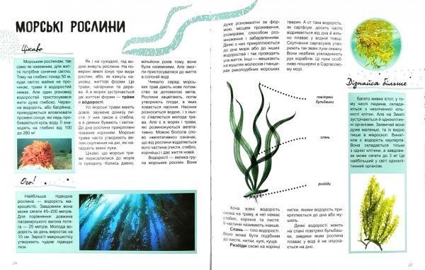 Книга «Жизнь моря мир и его тайны» 9786170944412