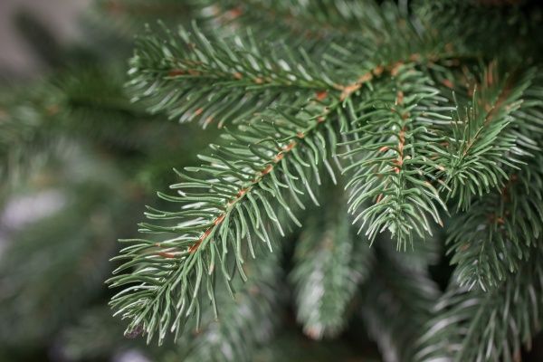 Елка искусственная Агния МАЛ-120 зеленый 