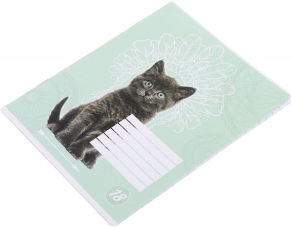 Тетрадь школьная Cat 18 листов линия 2 Мечты сбываются