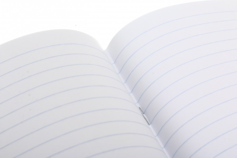 Тетрадь школьная 18 листов линия економ 2024 Nota Bene