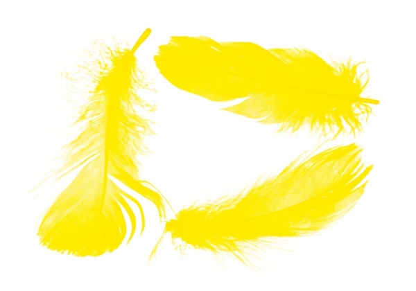 Наполнитель декоративный Maxi Перья