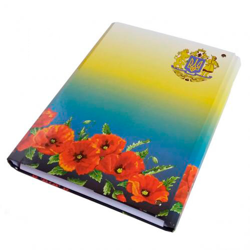 Папка-короб на липучке А4 25 мм ассорти iTEM