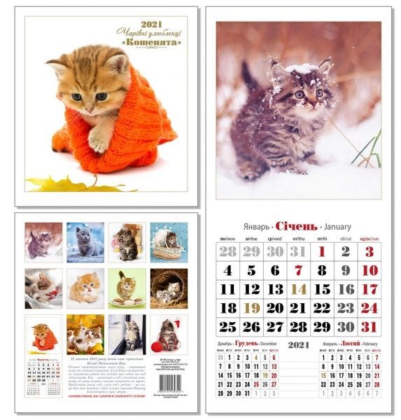 Календарь перекидной «Очаровательные любимцы (Котята) 2021» 4820144130342