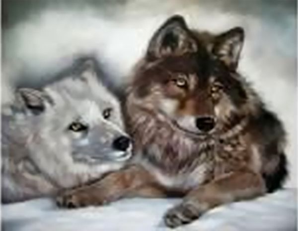 Набір для творчості зі стразами на підрамнику Відданість 40х30 Діамантові ручки 