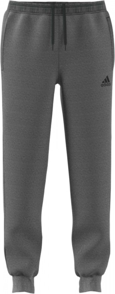 Брюки Adidas CORE18 SW PNT CV3752 р. XL серый