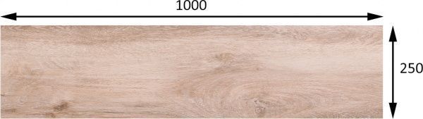 Плитка TAU Ceramica Форевер робле 25x100 