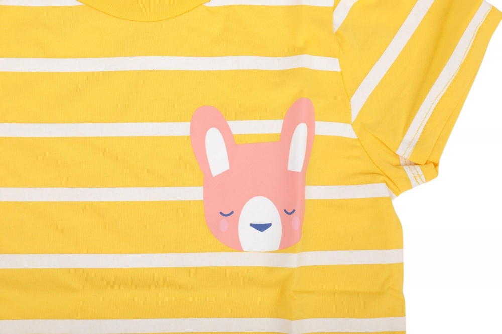 Футболка для мальчиков HW 2 шт. р.80/86 разноцветный 53163_53164