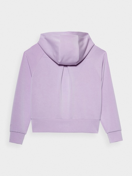 Джемпер 4F SWEATSHIRT F0815 4FSS23TSWSF0815-52S р. M фиолетовый